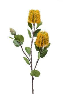 Emerald Kunstbloem Banksia geel 72cm