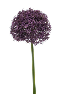 Emerald Kunstbloem Allium XL paars 90cm