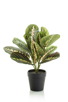 Emerald Kunstplant in pot Maranta 30cm