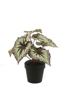 Emerald Kunstplant in pot Begonia grijs/paars 25cm