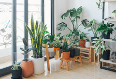 Arbres artificiels