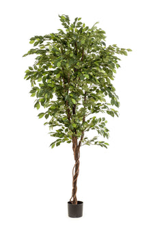 Emerald Kunstboom Ficus Deluxe Vine 200cm