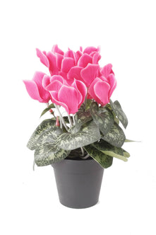 Emerald Kunstplant Cyclamen 25cm beauty in pot