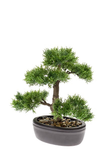 Emerald Kunstplant Bonsai Ceder 32cm