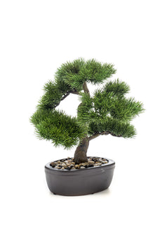 Emerald Kunstplant Bonsai Pinus 32cm