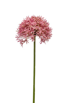 Emerald Kunstbloem Allium 62cm roze