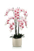 Emerald Kunstplant in pot Phalaenopsis roze 100cm