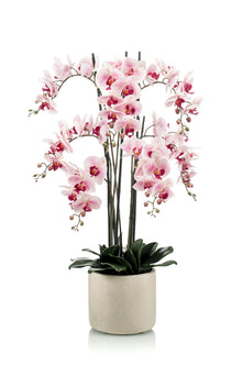 Emerald Kunstplant in pot Phalaenopsis roze 100cm