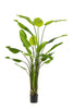 Emerald Kunstplant Strelitzia Nicolai 235cm