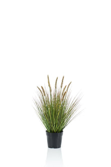 Emerald Kunstplant Pennisetum Gras 58cm