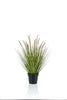 Emerald Kunstplant Pennisetum Gras 71cm