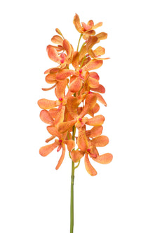 Emerald Kunstbloem Vanda RT 80cm oranje