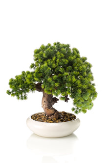 Emerald Kunstplant Bonsai Japanse Ceder 37cm