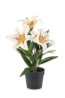 Emerald Kunstplant Lelie in pot crème 33cm