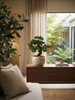 Emerald Kunstplant Bonsai Ficus mini 37cm