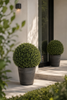 Emerald Kunstplant Buxus bol in pot UV 68cm