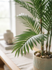 Emerald Kunstplant Chamaedorea Palm 100cm
