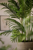 Emerald Kunstplant Paradise Palm 140cm