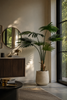 Emerald Kunstplant Livistona Palm 180cm
