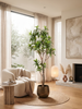Emerald Kunstboom Dracaena 155cm