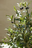Emerald Kunstboom Olijfboom 90cm