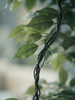 Emerald Kunstboom Ficus Deluxe Vine 140cm