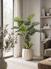Emerald Kunstplant Philodendron Selloum 80cm