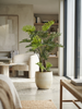 Emerald Kunstplant Philodendron Selloum 80cm
