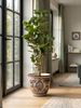 Emerald Kunstboom Polyscias 105cm