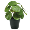 Petites plantes artificielles