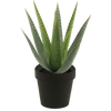 Succulentes artificielles