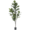 Art-Ficus