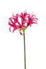 Emerald Kunstbloem Nerine 75cm fuchsia